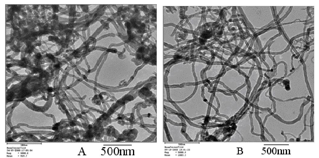 碳納米管 TEM 圖像（ A ）原始 MWCNT ；（ B ）等離子體處理 MWCNTs