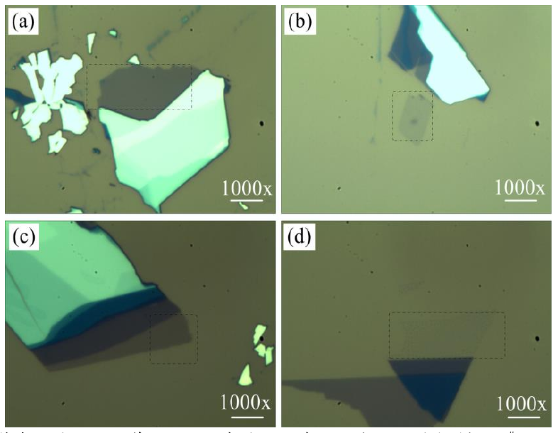 圖 3.3 低溫氧等離子體處理后單層 M o S 2 薄膜的光學(xué)顯微鏡圖。（a）樣品 1 # 的光鏡圖，（b）樣 品 2 # 處理 1 0 s 的光鏡圖，（ c）樣品 3 # 處理 2 0 s 的光鏡圖和（ d）樣品 4 # 處理 4 0 s 的光鏡圖。