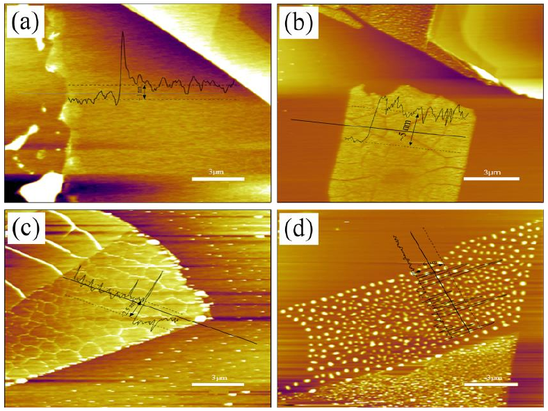 圖 3.5 低溫氧等離子體處理后單層 M o S 2 薄膜形貌圖。（a）樣品 1 # 的厚度~ 1 nm；（ b）樣品 2 # 的厚度~ 5 nm；（ c）樣品 3 # 的厚度~ 3.5 nm；（ d）樣品 4 # 的厚度~ 6 nm。
